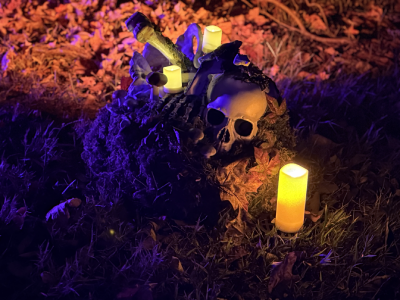A mossy pile of bones with mushrooms and leaves lit by candles.