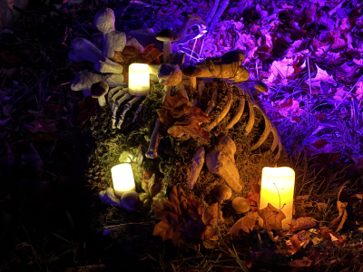 A mossy pile of bones with mushrooms and leaves lit by candles.
