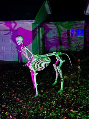 A Centaur skeleton lit with green and purple.