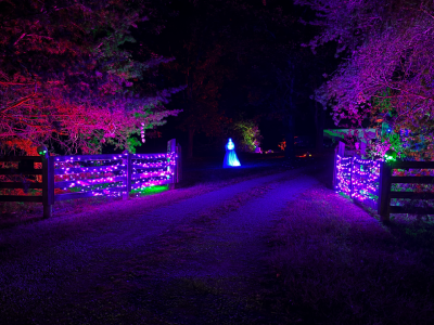 Gates covered in purple lights. Behind them are trees lit orange, purple, and green with sigils made of bones and skulls hanging in them. 