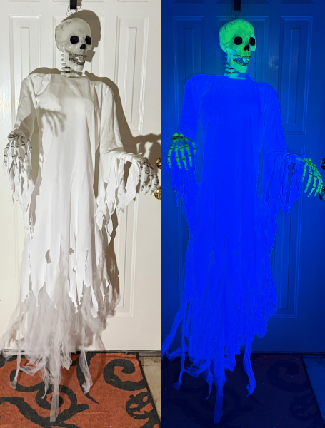 A skeleton wearing a tattered underdress in regular and blacklight. She has ephemeral strips of tulle coming out the bottom instead of legs.