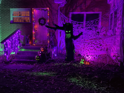 A Halloween scene with a spooky tree, spiderwebs, jack o lanterns and a large spider and skeletons. 