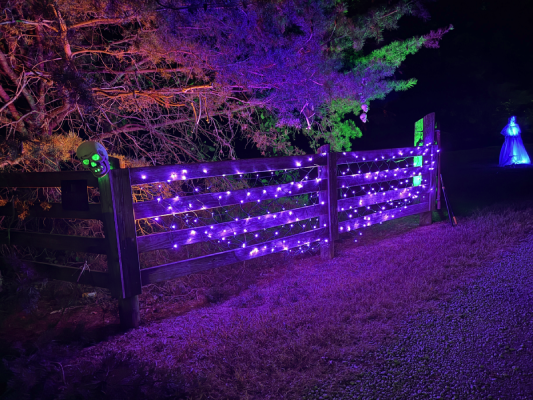 Driveway entrance showing one side wiuth purple net lights on the fence and the tree lit in orange, purple, and green. There are witchy bone fetishes hanging from the tree. In the distance a glowing blue ghost in a vintage dress. 