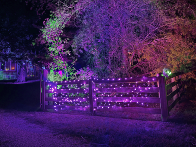 Halloween colors on trees behind a wood fence draped in purple lights. Off in the distance you can see Discworld Death's eyes glowing blue and a graveyard fence.