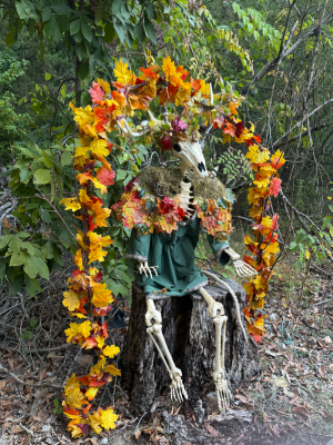 A skeletal forest god sits on an old stump as his throne. His antlers entwined with leaves like the arch behind him. He wears a cloak of moss  trimmed in leaves with mushrooms growing on his shoulders. He wears a green trimmed tunic. 
