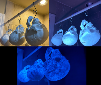 3 panels of 3 skulls hanging from a shower curtain rod. The panels are in regular light, black light and in the dark. 