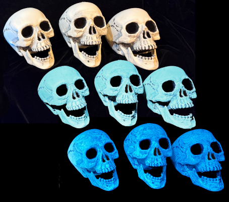 A skull in regular, blacklight, and glowing in the dark.