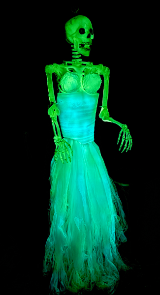 A glowing in the dark skeleton with the bottm half glowing tulle instead of legs