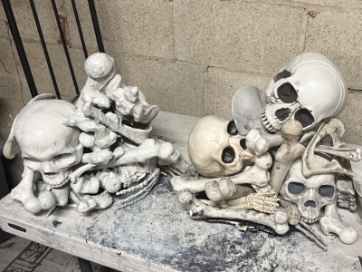 2 bone piles on a table with cider  blocks in the background. 