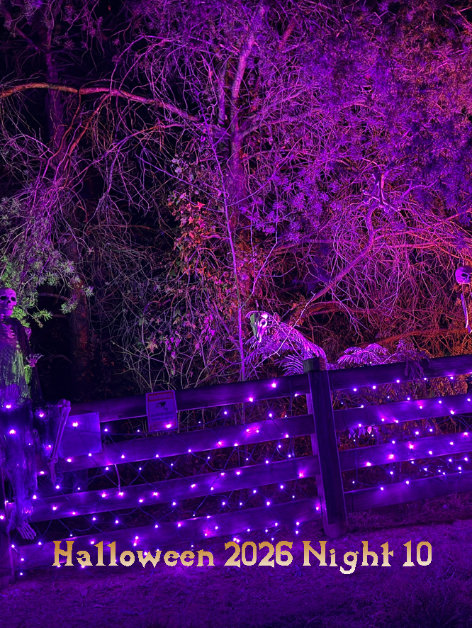 Colorful lit entrance fence.   Text says Halloween 2026 Night 10