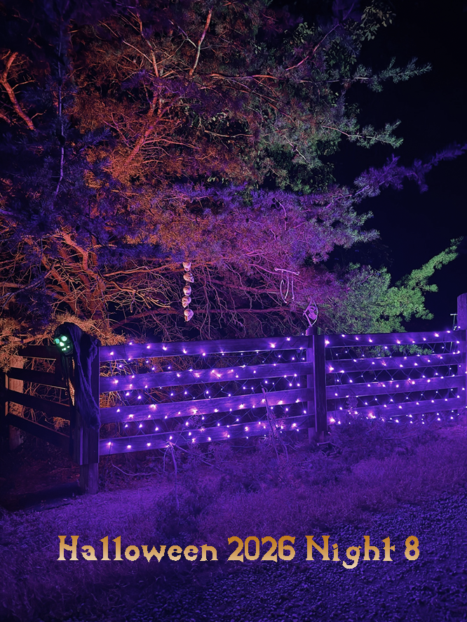 Entrance with purple net lights on the fence, trees behind fence lit in orange, purple, and green, with bone fetishes and skulls hanging from their limbs.   Text says Halloween 2026 Night 8